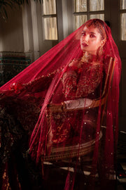 Noorani